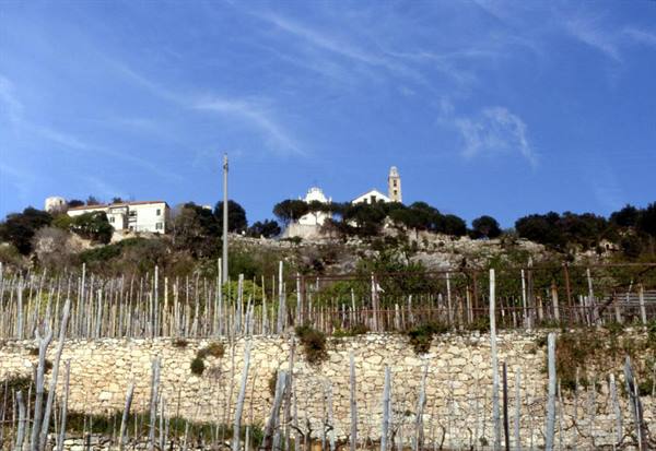 BORGIO VEREZI