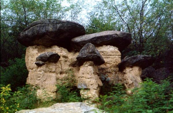 Mushroom-shaped rocks with gray caps on sandy pillars, surrounded by green vegetation