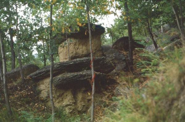Mushroom-shaped rock formations among trees in a forest