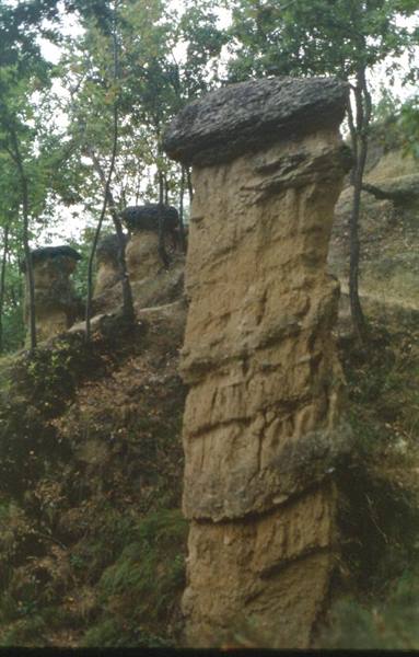 Tall earth pyramid with stone cap among trees, Ciciu del Villar