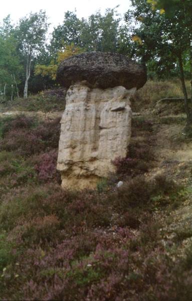 Stone mushroom rock among heather and trees