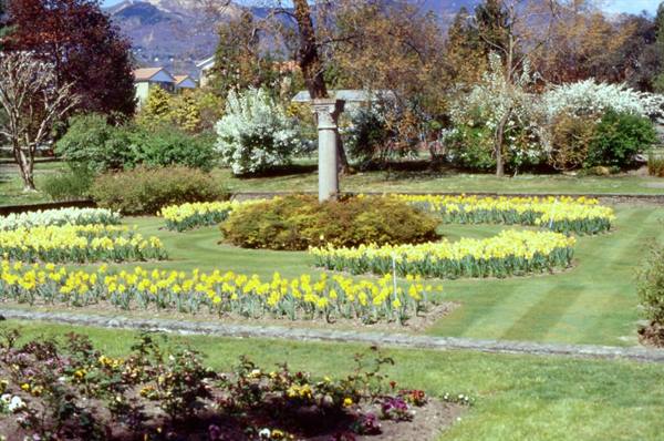 Stone column surrounded by circular beds of blooming yellow daffodils