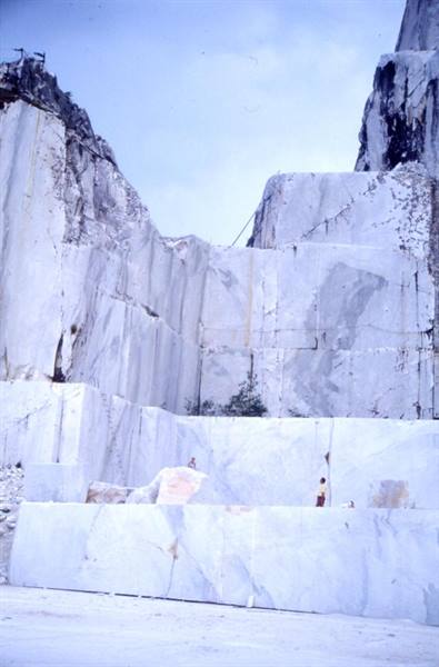 ARNI