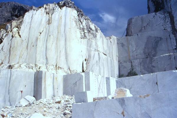 ARNI