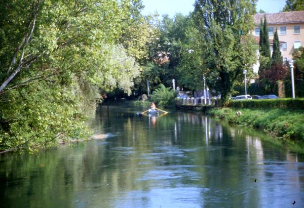 TREVISO