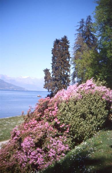 BELLAGIO VILLA MELZI