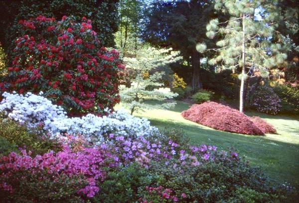 CADENABBIA