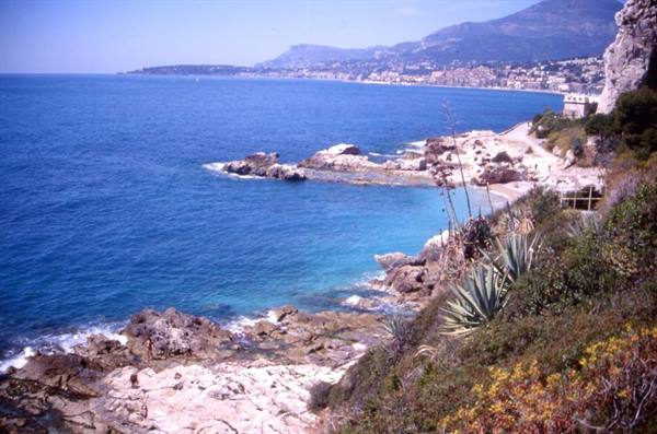MORTOLA