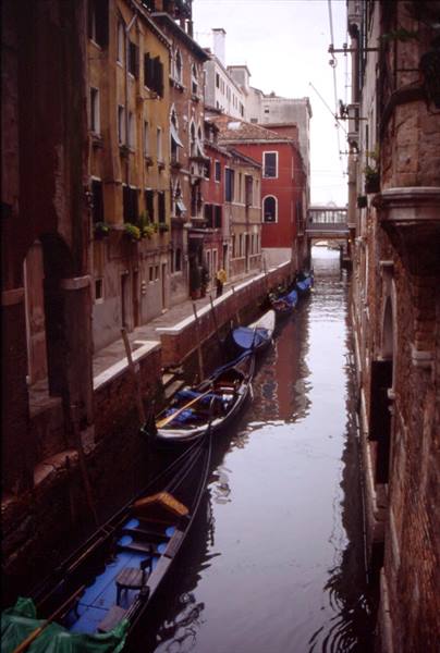 VENICE