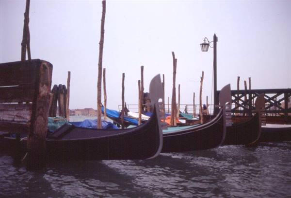 VENICE