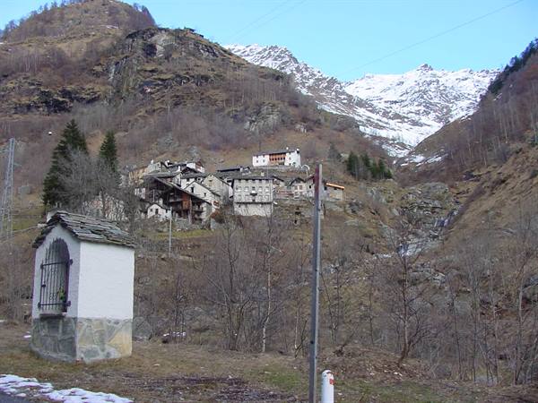 CARCOFORO