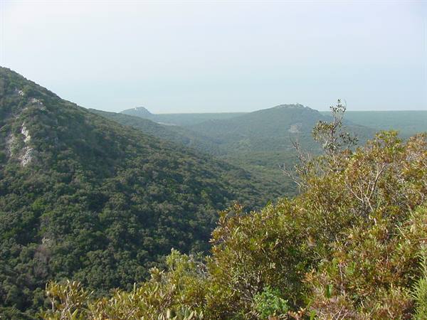 Green hills covered in Mediterranean scrub open toward the sea