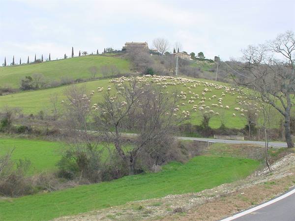 SATURNIA