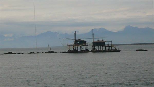 MARINA DI PISA - SCALES