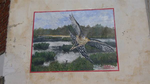 Mural on plastered wall: bird of prey flying over painted marsh