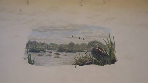 wall mural of wetland birds, snipe among reeds and ducks on the pond
