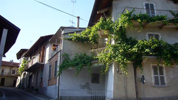 Village houses covered with ivy and vines, sunny light