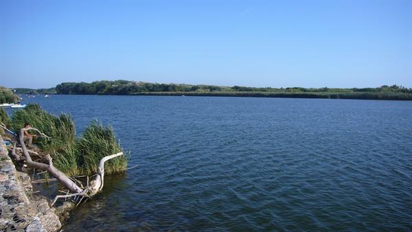 VECCHIANO - MOUTH OF THE SERCHIO