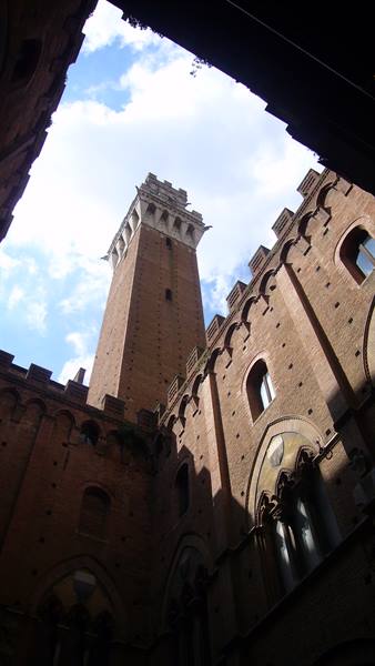 SIENA