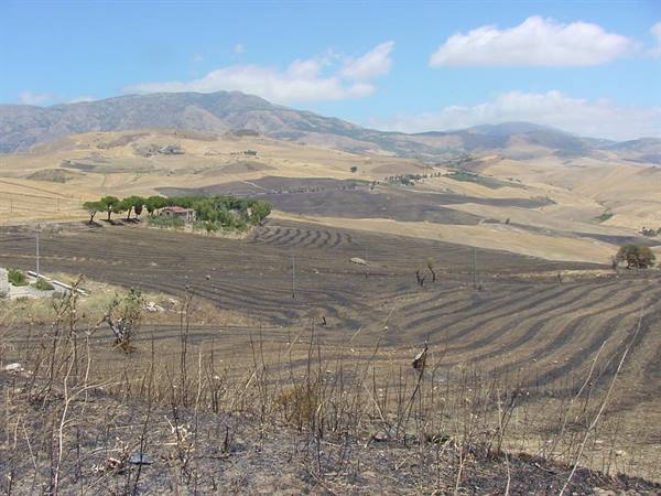 TOWARDS PETRALIA SOPRANA