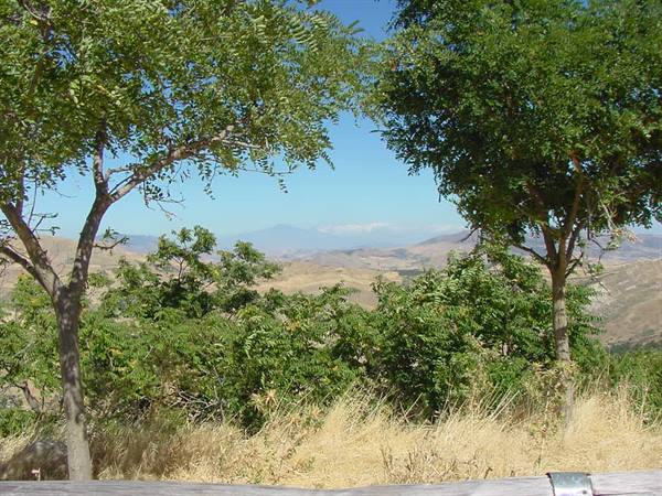 ETNA FROM PETRALIA SOPRANA