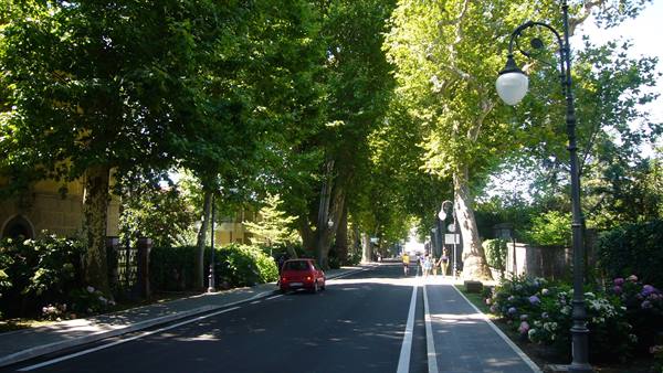 Tree-lined avenue with a red car, iron lampposts and blooming hydrangeas