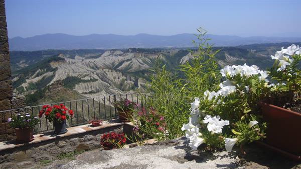 Potted flowers on stone terrace, the calanche badlands of Civita di Bagnoregio beyond