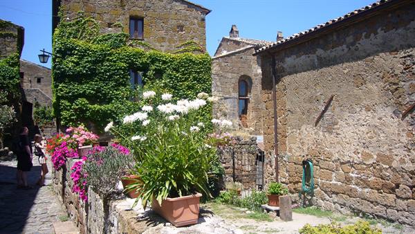 Potted flowers among tuff houses covered in ivy, Civita di Bagnoregio