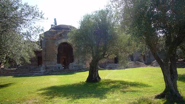 Ancient stone ruin with arch, old olive trees on sunlit green lawn