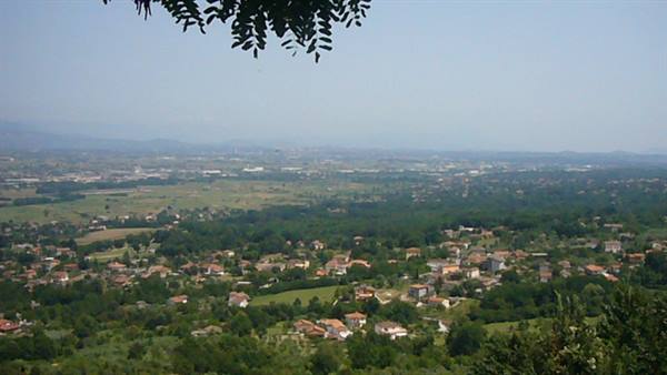 Red-roofed houses among green fields, tree branches overhead
