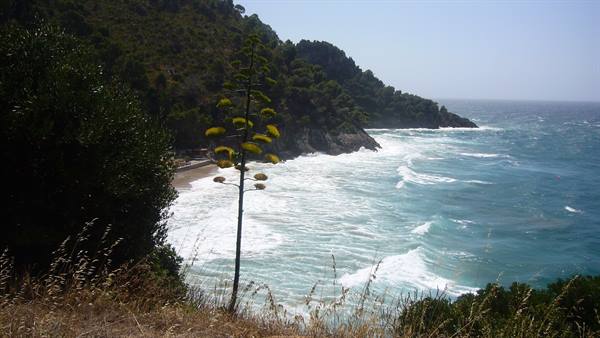 COAST TOWARDS GAETA