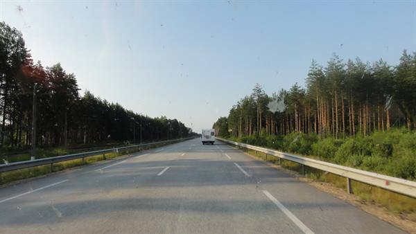 Motorhome driving on highway between pine forests, bug-splattered windshield