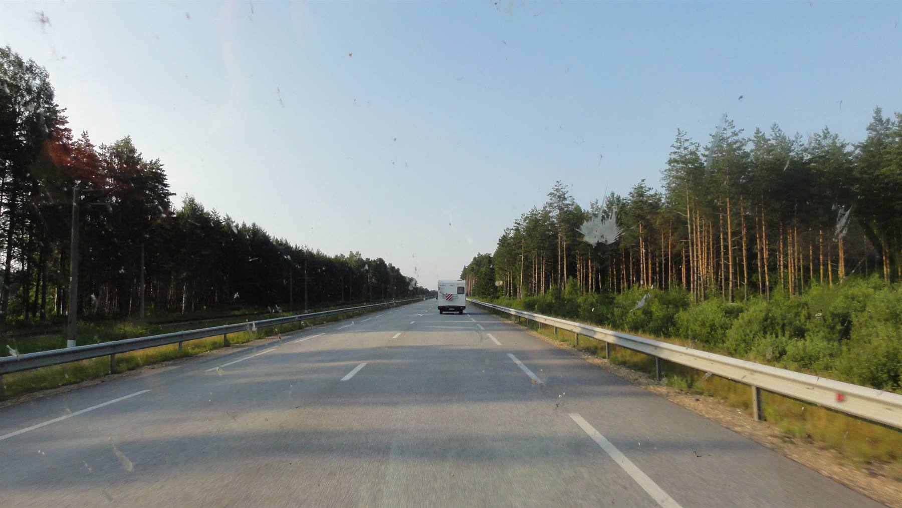 Autostrada con camper tra pinete, parabrezza sporco di insetti