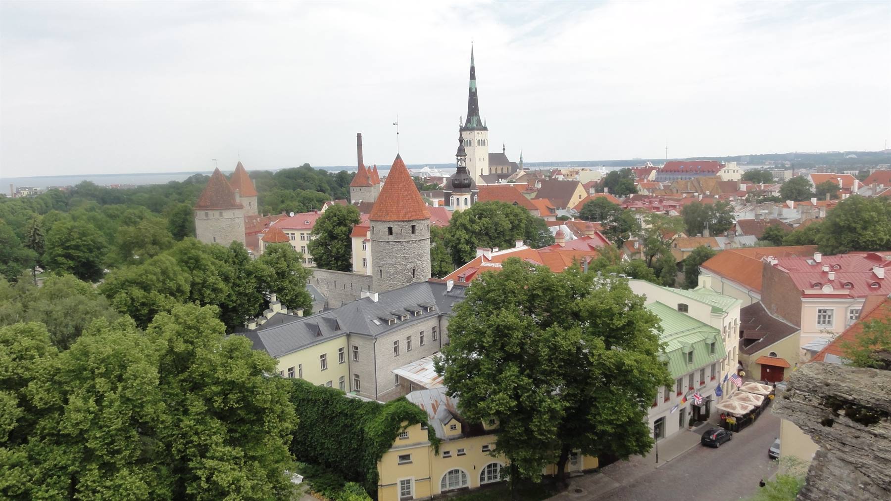 Torri medievali con tetti rossi tra gli alberi, Tallinn