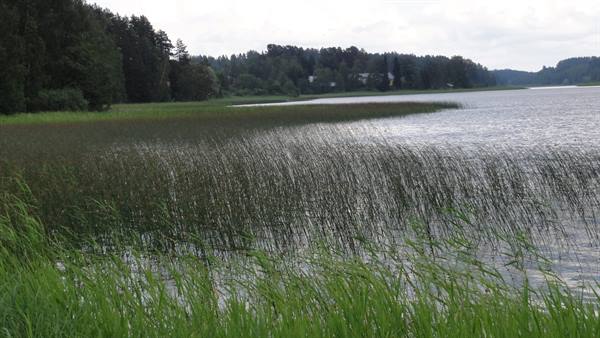 TOWARDS JYVÄSKYLÄ