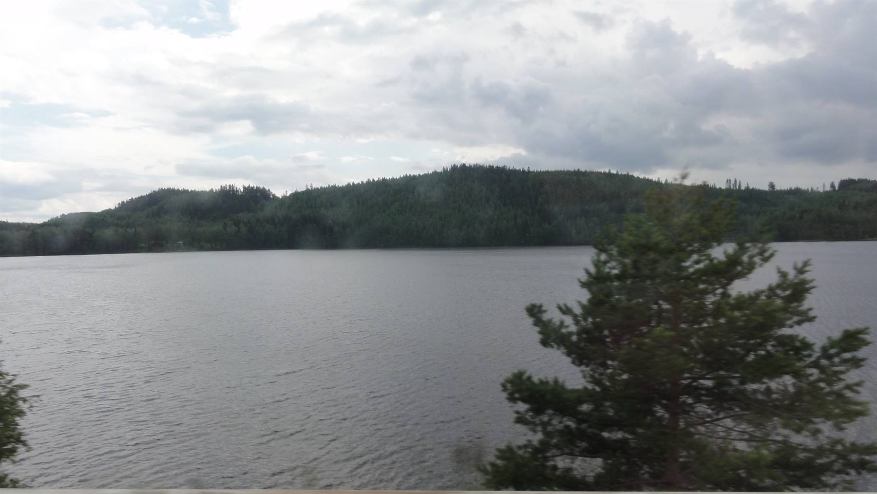 Lago grigio con abete in primo piano e colline boscose sotto cielo nuvoloso