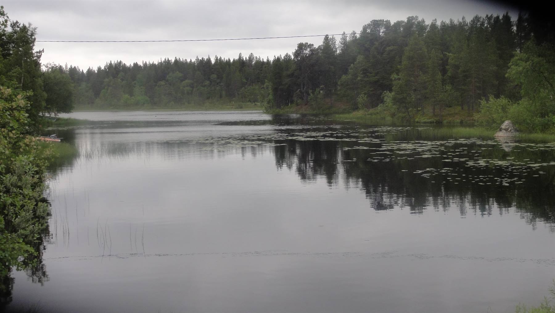 Lago circondato da foreste, ninfee sull'acqua, cielo nuvoloso e luce grigia