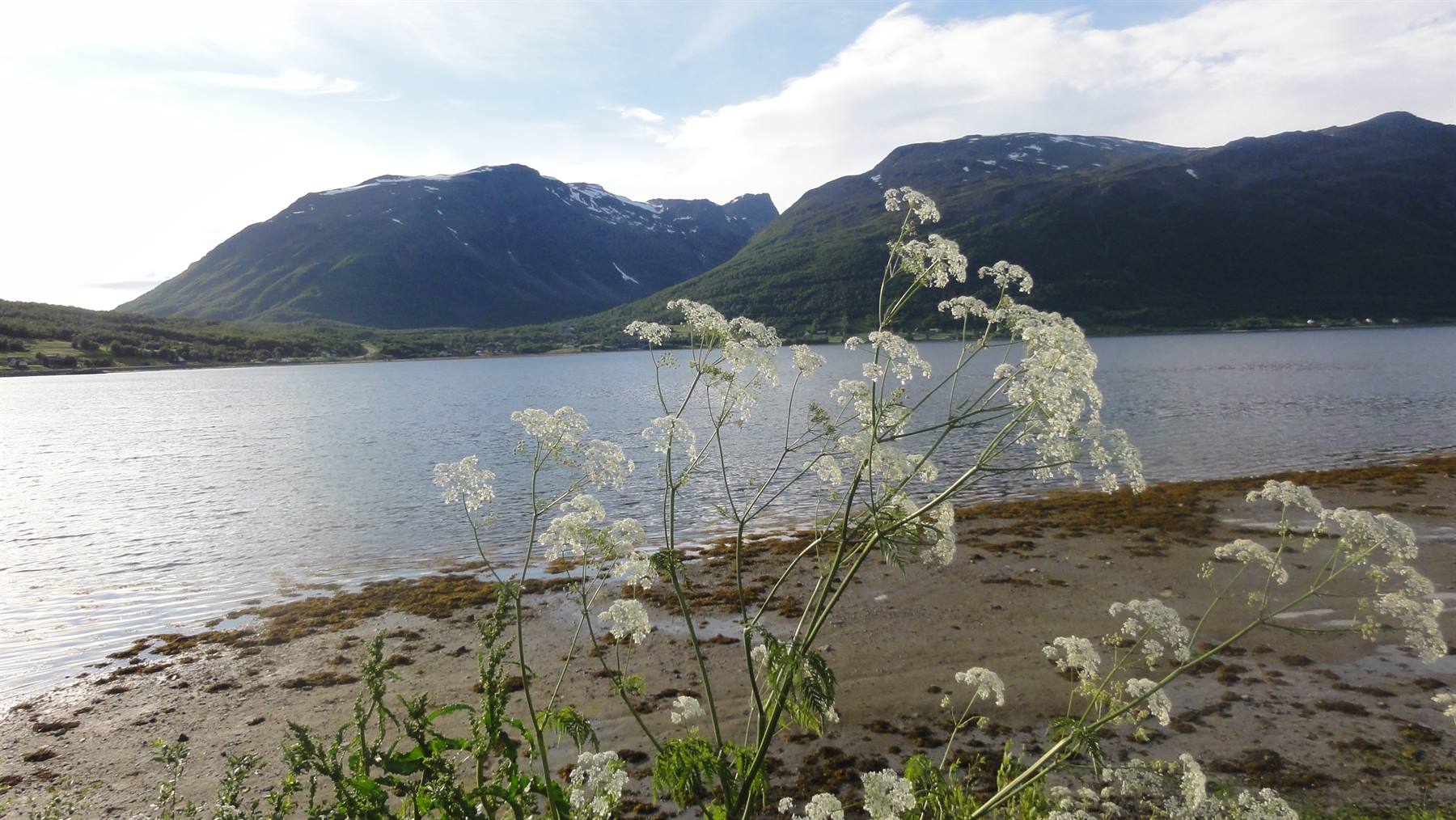 VERSO IL FIORDO DI LYNGEN
