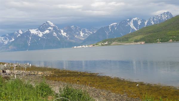 TOWARDS THE LYNGEN FJORD