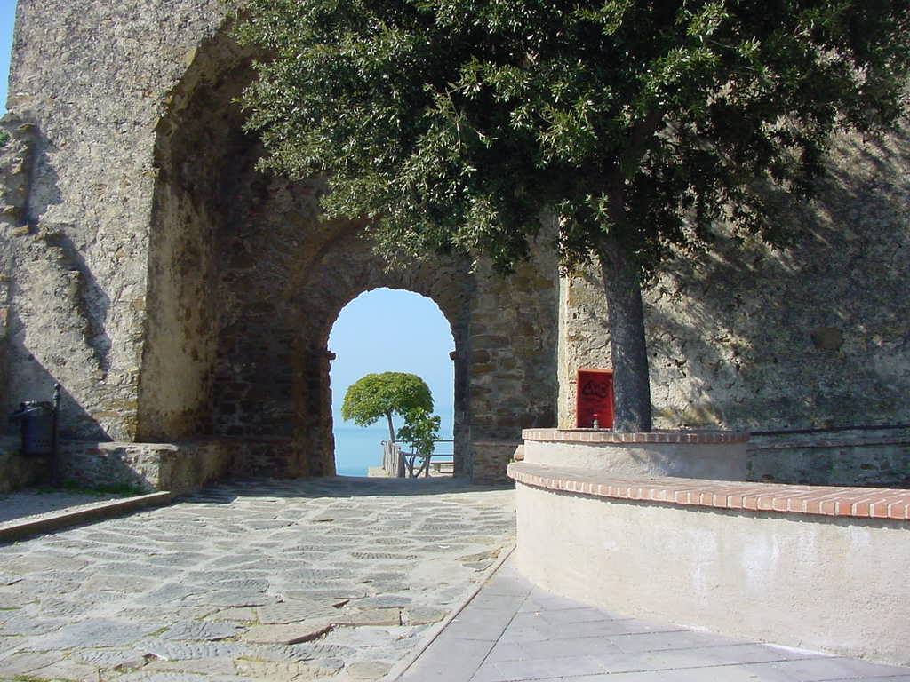 FROM THE CASTLE