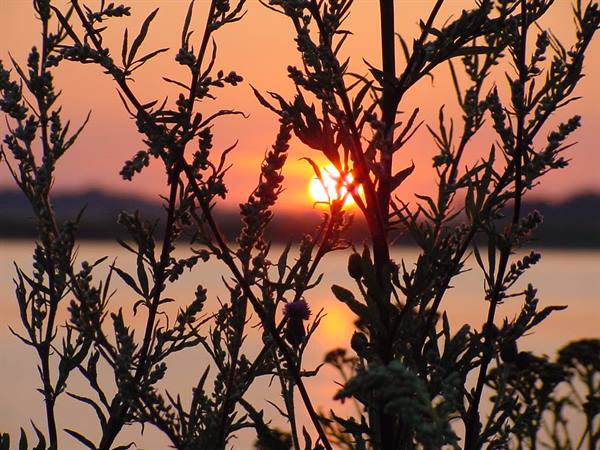 AALBORG - SUNSET