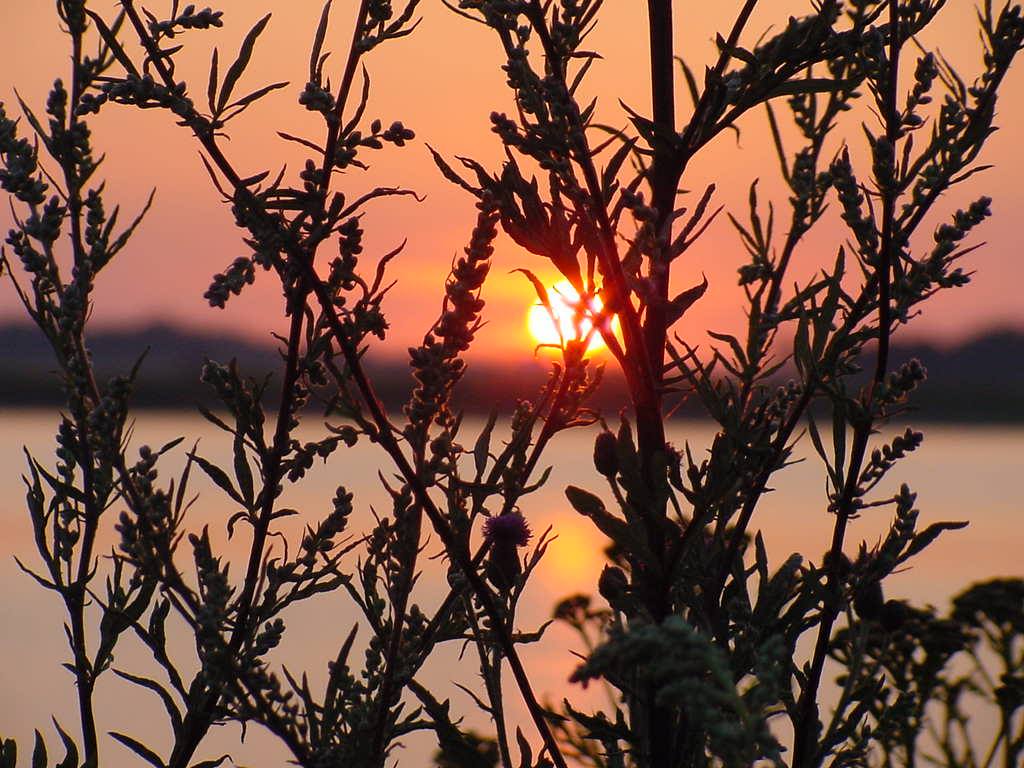 AALBORG - SUNSET