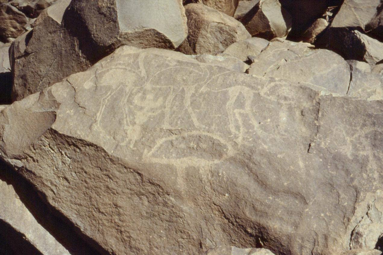 ROCK CARVINGS TOWARDS IDELES