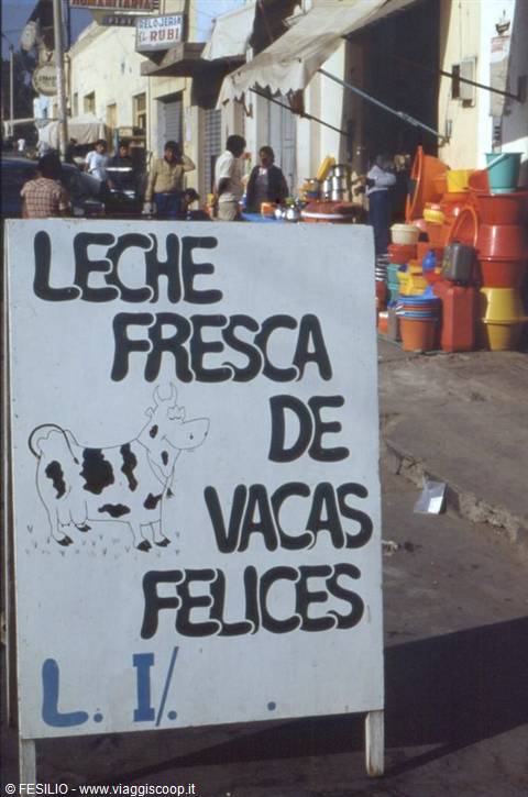 NAZCA - ADVERTISING