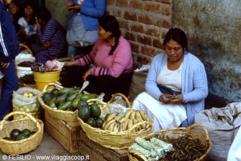 NAZCA - THE MARKET