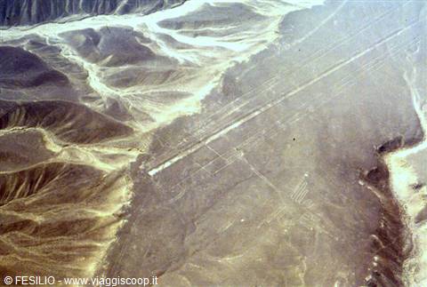 NAZCA - THE HUMMINGBIRD