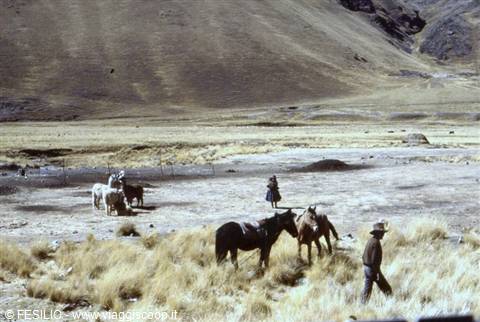 FROM THE TRAIN TOWARDS CUZCO