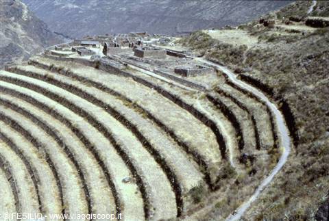 PISAC - TERRACES