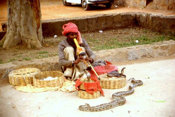 NEW DELHI - SNAKE CHARMER