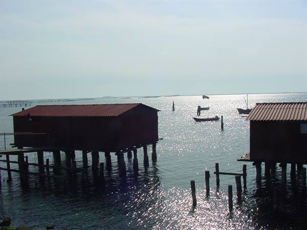 SACCA DEGLI SCARDOVARI